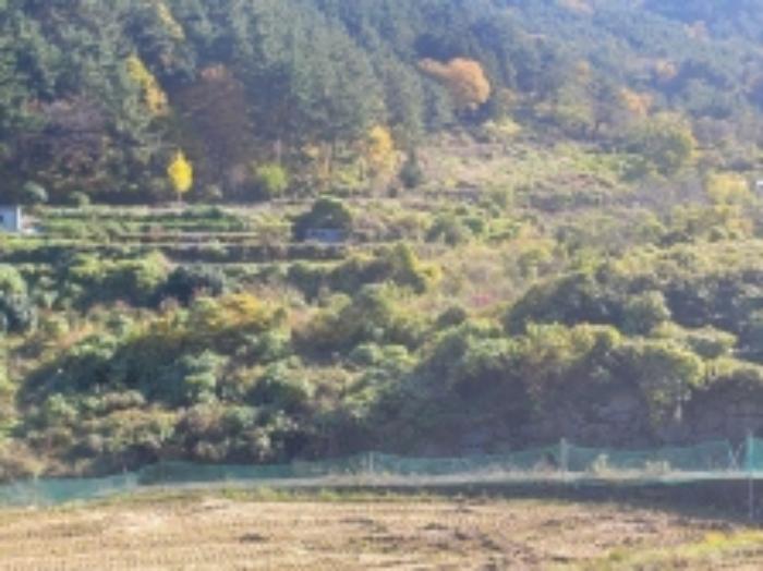 경상남도 거제시 사등면 사등리 1556 전 경매 사진 38