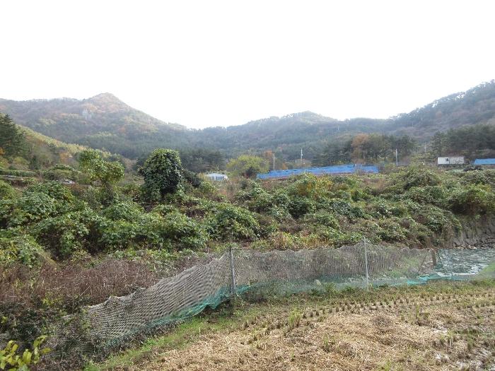 경상남도 거제시 사등면 사등리 1556 전 경매 사진 5