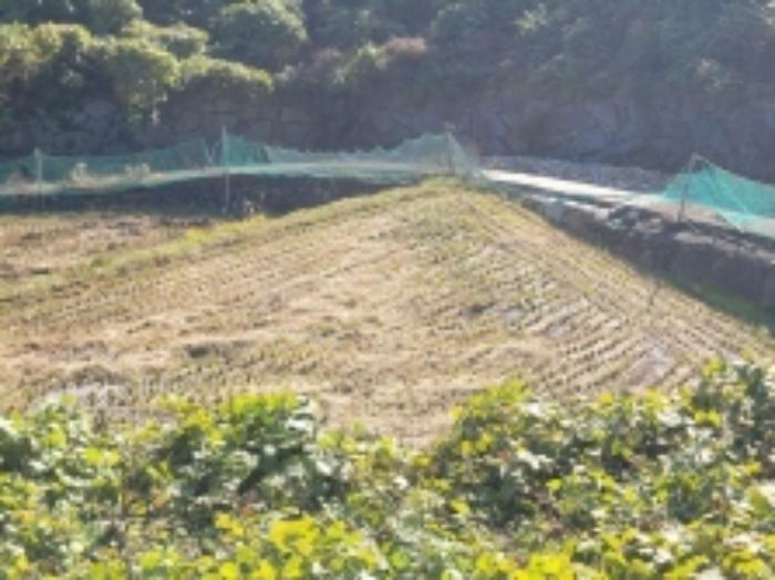 경상남도 거제시 사등면 사등리 1556 전 경매 사진 52