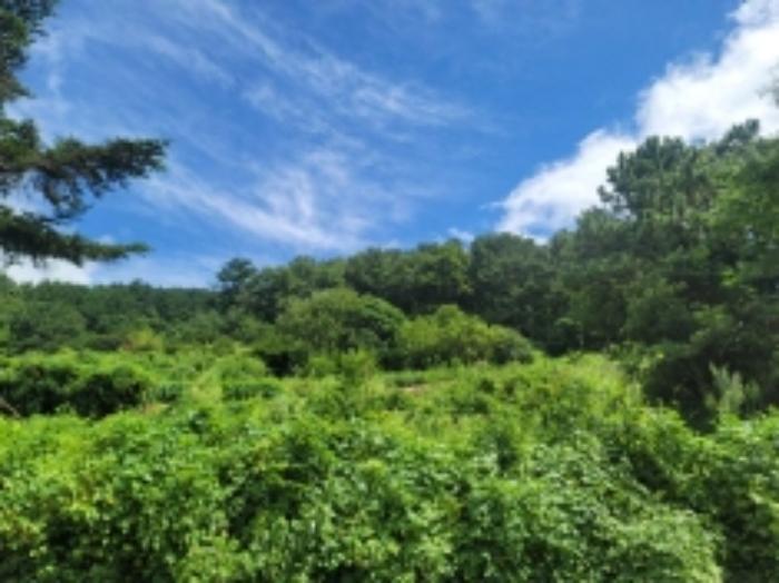 경상남도 통영시 평림동 674 전 경매 사진 5