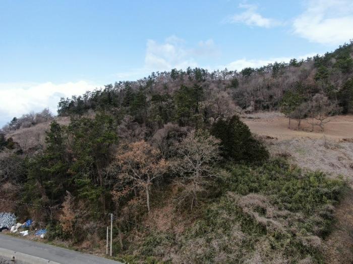 전라남도 해남군 황산면 연호리 79-24 전 경매 사진 4