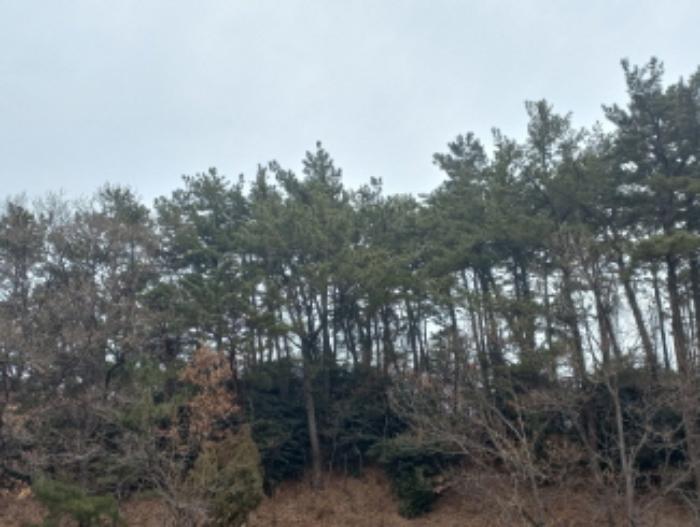 경상남도 남해군 고현면 갈화리 1084 전 경매 사진 32