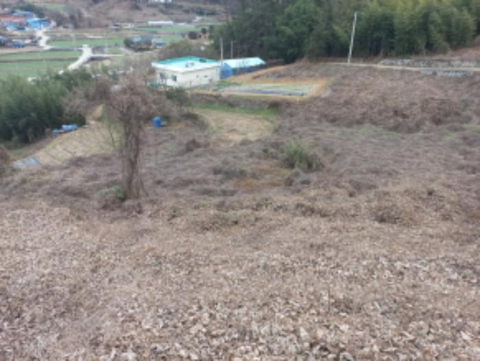 경상남도 남해군 고현면 갈화리 1084 전 경매 사진 36