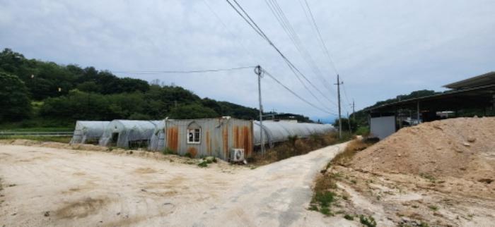 경상북도 김천시 감천면 무안리 180-2 답 경매 사진 14