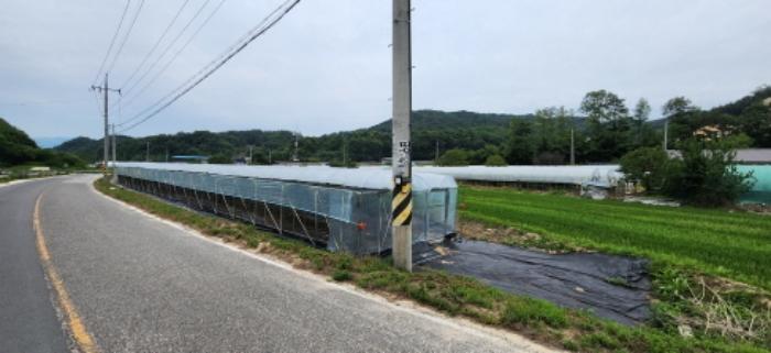 경상북도 김천시 감천면 무안리 180-2 답 경매 사진 16