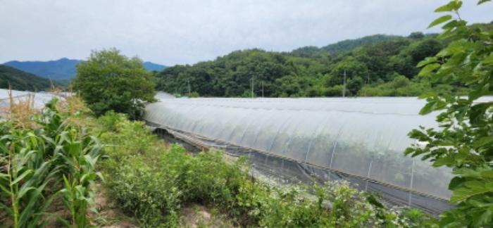 경상북도 김천시 감천면 무안리 180-2 답 경매 사진 18