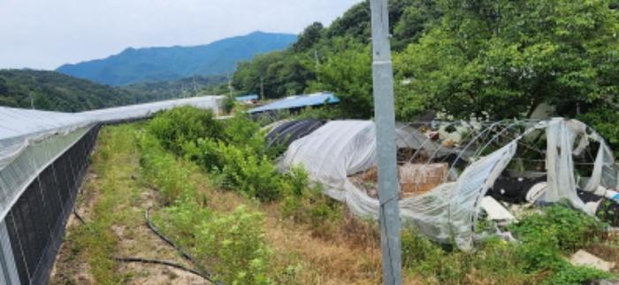 경상북도 김천시 감천면 무안리 180-2 답 경매 사진 20