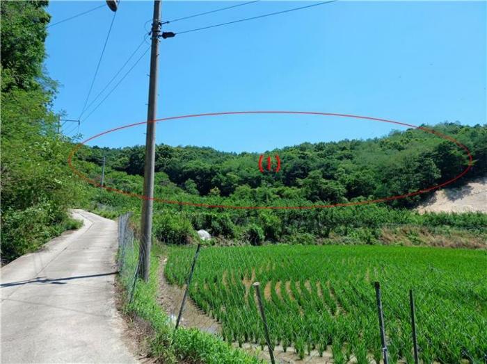 경상북도 김천시 감천면 무안리 180-2 답 경매 사진 6