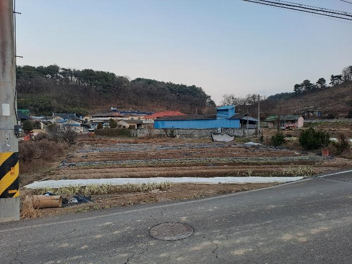 경상남도 김해시 진영읍 하계리 636 답 경매 사진 15