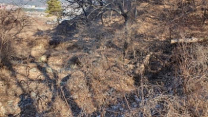 경상남도 김해시 진영읍 하계리 636 답 경매 사진 23
