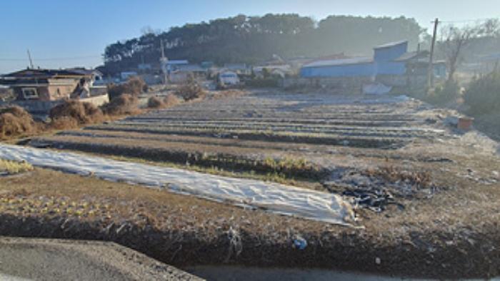 경상남도 김해시 진영읍 하계리 636 답 경매 사진 26