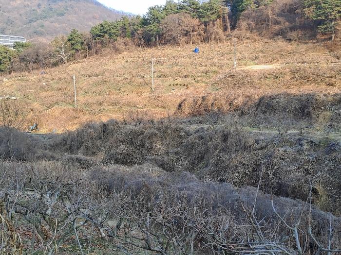 경상남도 김해시 진영읍 하계리 682-4 답 경매 사진 11