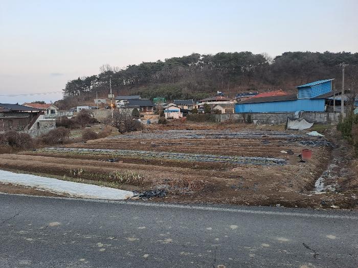 경상남도 김해시 진영읍 하계리 682-4 답 경매 사진 8
