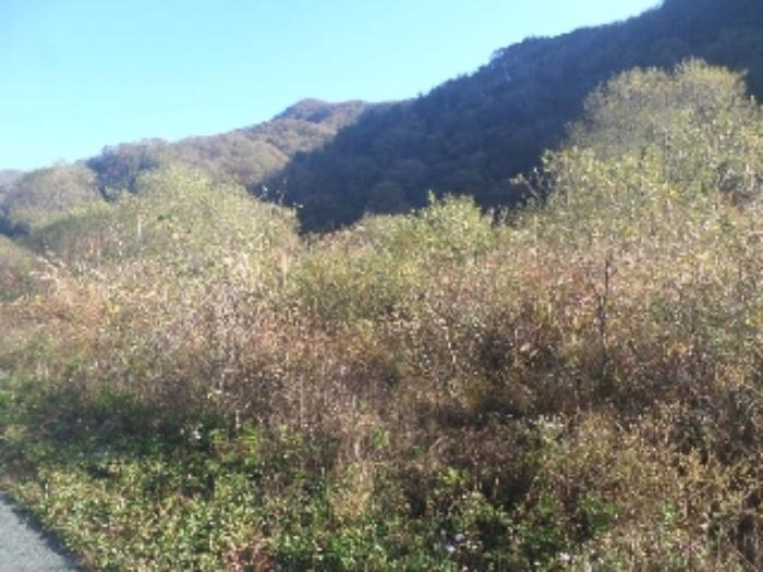 전북특별자치도 임실군 관촌면 회봉리 320-2 답 경매 사진 5