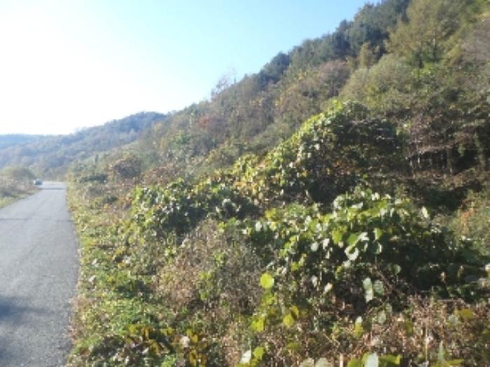 전북특별자치도 임실군 관촌면 회봉리 320-2 답 경매 사진 7