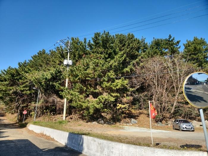 경상남도 거제시 장승포동 649-12 전 경매 사진 12