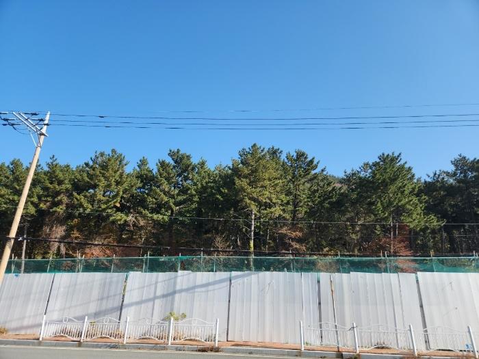 경상남도 거제시 장승포동 649-12 전 경매 사진 13