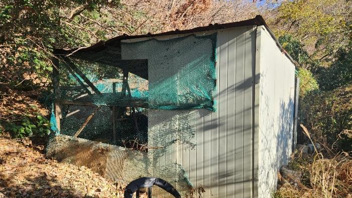 경상남도 거제시 장승포동 649-12 전 경매 사진 19