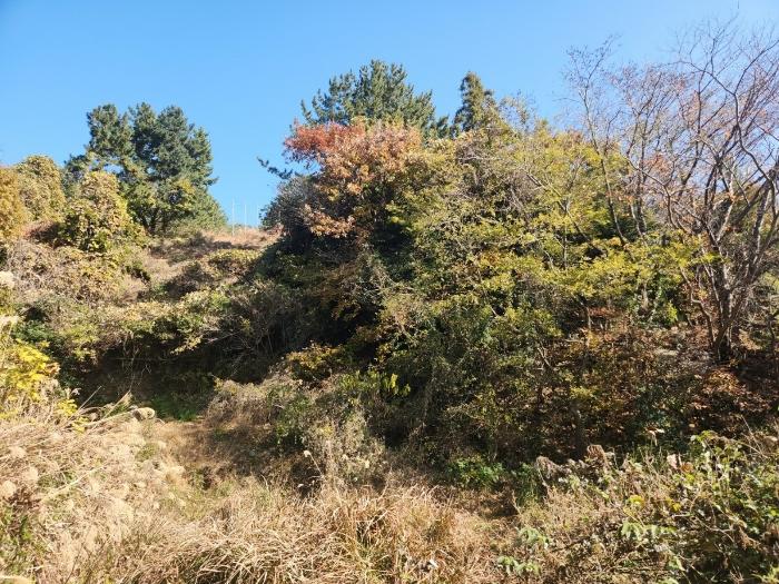 경상남도 거제시 장승포동 649-12 전 경매 사진 20