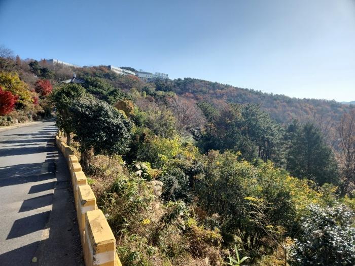 경상남도 거제시 장승포동 649-12 전 경매 사진 4
