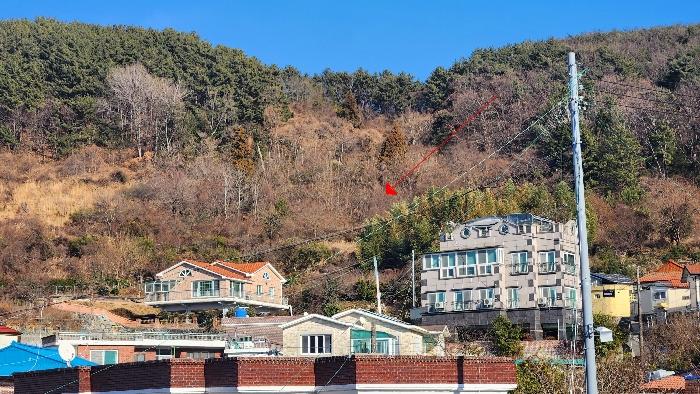 경상남도 거제시 사등면 사곡리 3 전 경매 사진 1