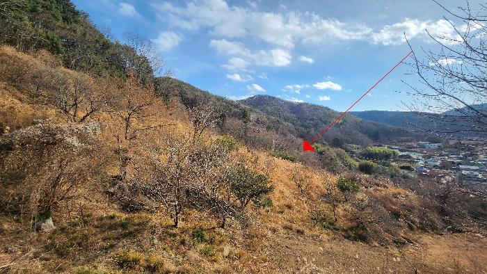 경상남도 거제시 사등면 사곡리 3 전 경매 사진 4