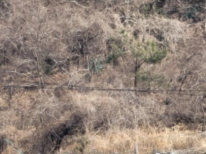 경상남도 거제시 사등면 사곡리 3 전 경매 사진 5