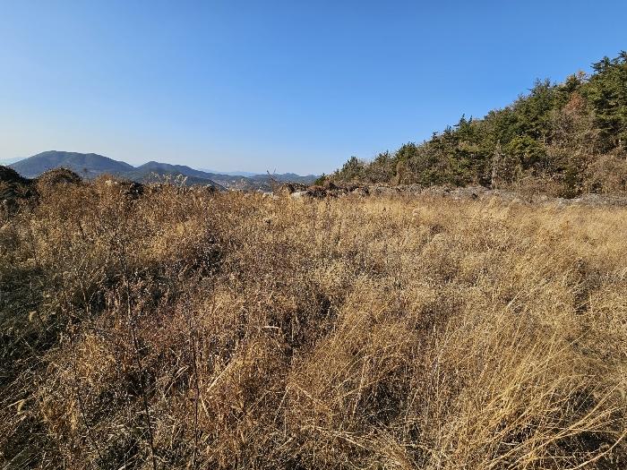 전라남도 여수시 소라면 관기리 2 답 경매 사진 10