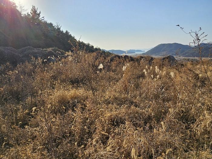 전라남도 여수시 소라면 관기리 2 답 경매 사진 11