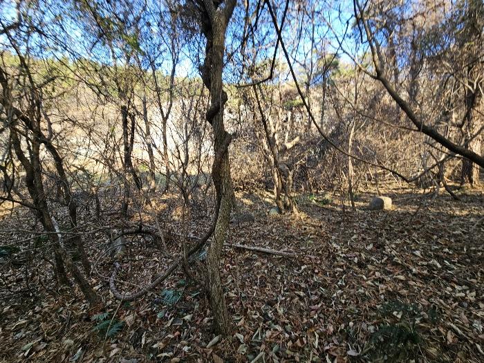 전라남도 여수시 소라면 관기리 2 답 경매 사진 12
