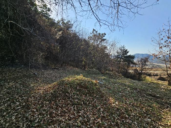 전라남도 여수시 소라면 관기리 2 답 경매 사진 3