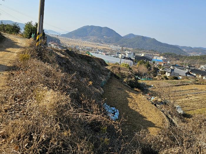 전라남도 여수시 소라면 관기리 161-4 전 경매 사진 13