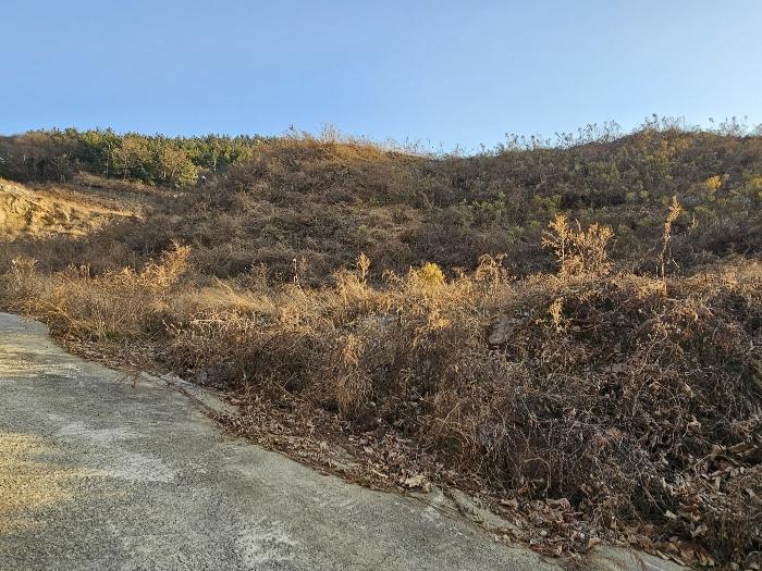 전라남도 여수시 소라면 관기리 161-4 전 경매 사진 17