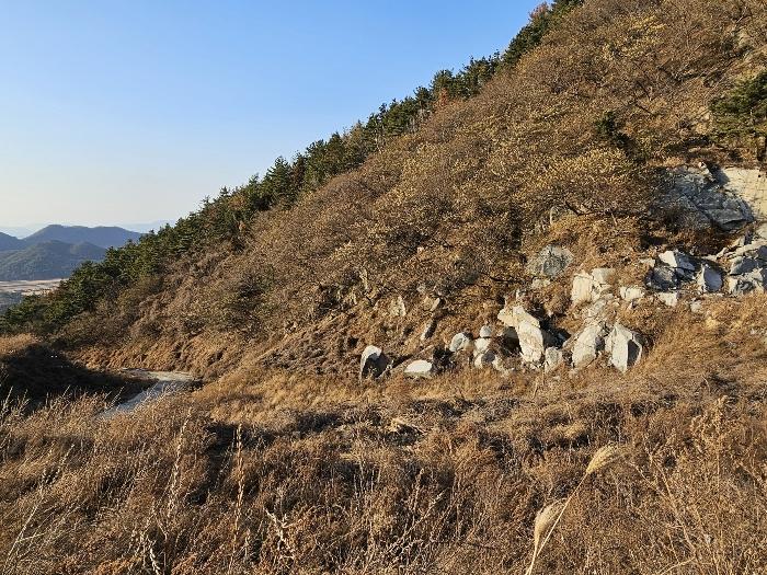 전라남도 여수시 소라면 관기리 161-4 전 경매 사진 9