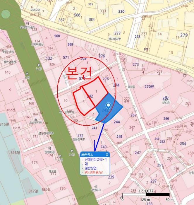 전북특별자치도 정읍시 신태인읍 신태인리 242-1 대지 경매 사진 23