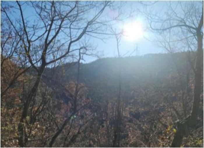 전라남도 여수시 남면 우학리 737 답 경매 사진 10