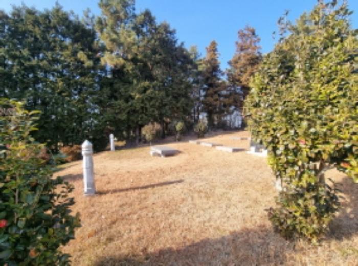 전라남도 여수시 남면 우학리 737 답 경매 사진 13