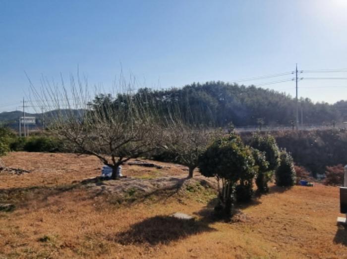전라남도 여수시 남면 우학리 737 답 경매 사진 17