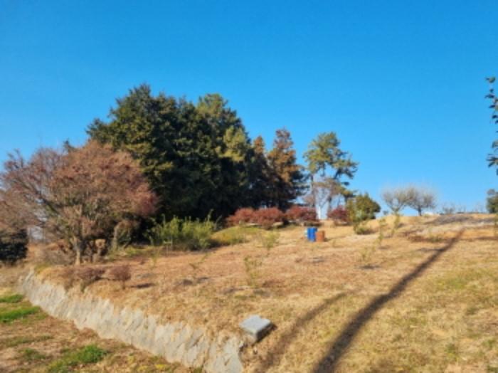 전라남도 여수시 남면 우학리 737 답 경매 사진 19