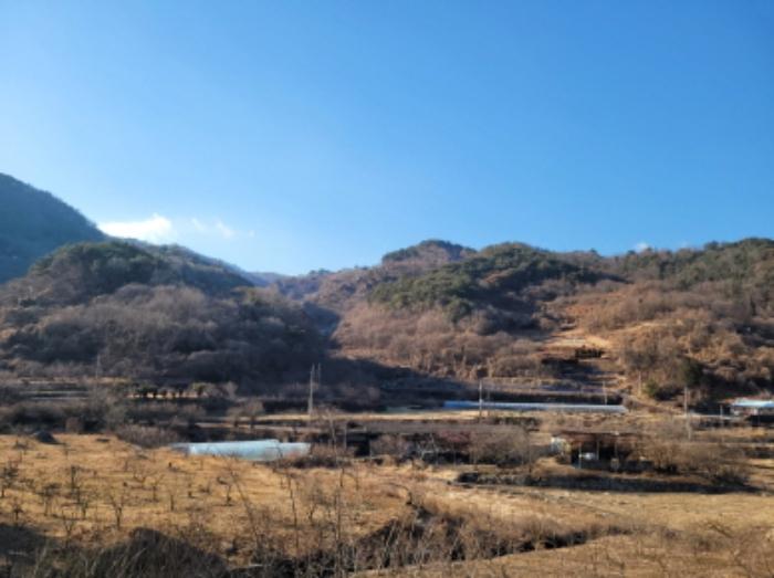 전라남도 여수시 남면 우학리 737 답 경매 사진 20