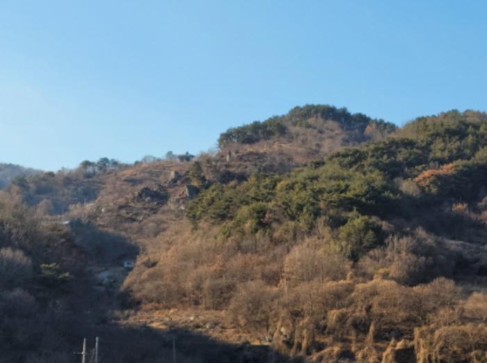 전라남도 여수시 남면 우학리 737 답 경매 사진 22
