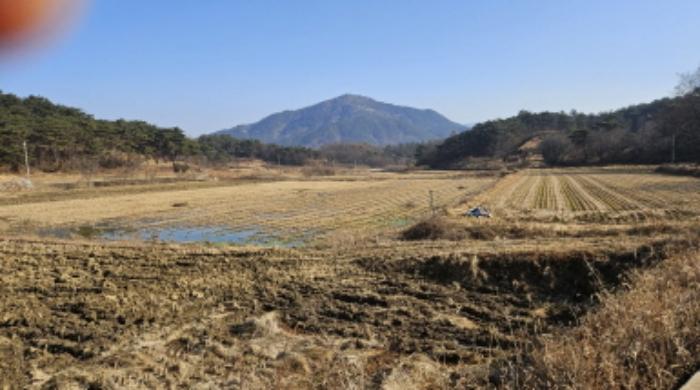전라남도 여수시 남면 우학리 737 답 경매 사진 23
