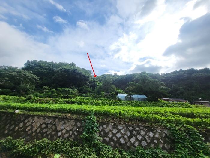 경기도 가평군 청평면 상천리 산145-2 임야 경매 사진 1