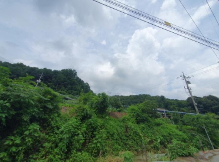 경기도 가평군 청평면 상천리 산145-2 임야 경매 사진 5