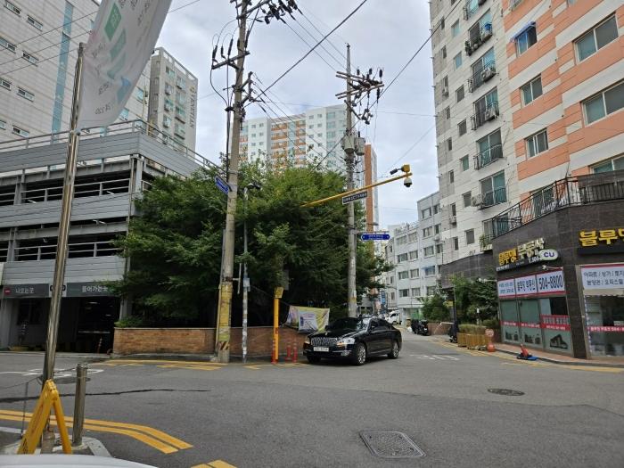 인천광역시 부평구 장제로76번길 21, 에이동 2층203호 (부평동,블루밍아파트)구) 인천광역시 부평구 부평동 452-11 아파트 경매 사진 5