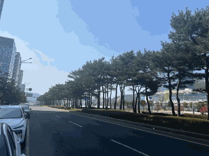 전라남도 무안군 삼향읍 남악리 2116 남악도휘에드가5차오피스텔 9층901호 오피스텔 경매 사진 3