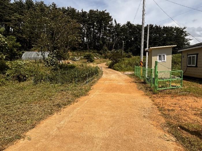 충청남도 태안군 근흥면 마금리 산274-2 임야 경매 사진 3