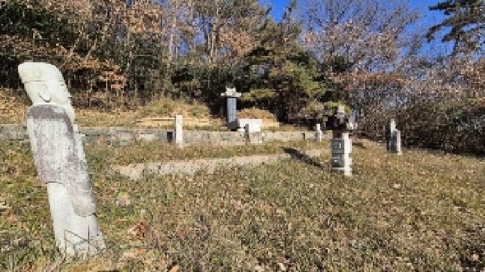 전라남도 나주시 왕곡면 신원리 산136 임야 경매 사진 17