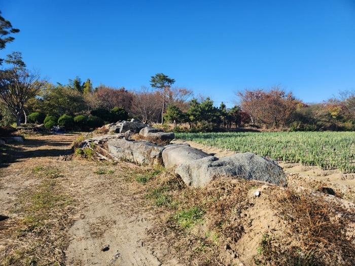 부산광역시 강서구 대저1동 305-4 답 경매 사진 1