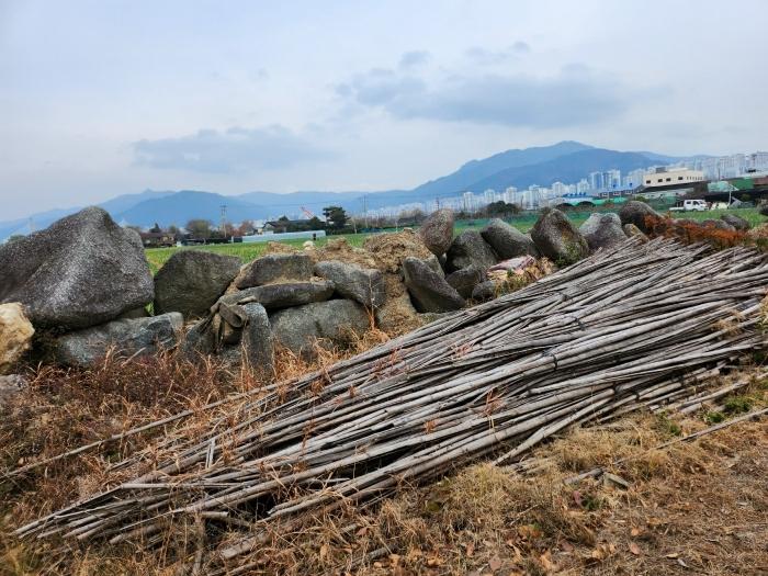 부산광역시 강서구 대저1동 305-4 답 경매 사진 24